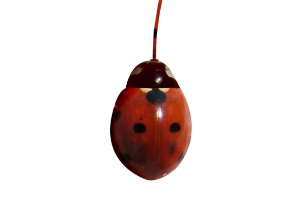 Creation of ladybug: Step 2